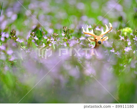 Flower field and deer figure 89911180
