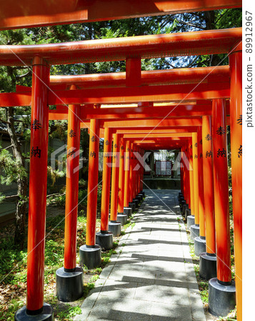 神社的五顏六色的鳥居門 89912967