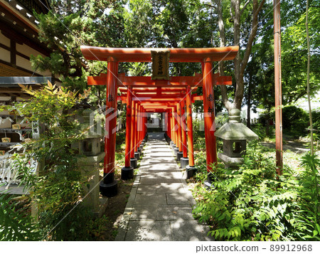 神社的五顏六色的鳥居門 89912968