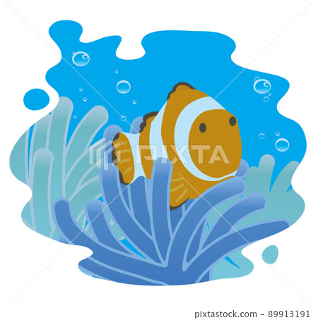 Clark's anemone hidden in anemones in the sea 89913191