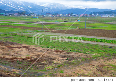 道路驛站 花之站 近千曲川 Tokari 方向 田園風光 早春時節 89913524