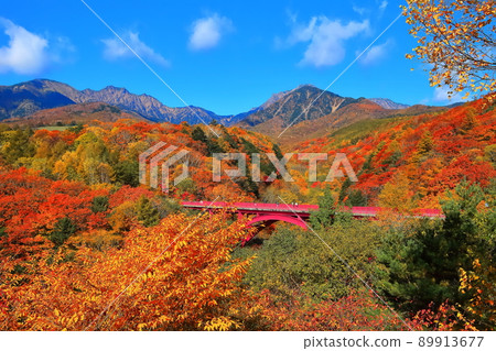 [Yamanashi Prefecture] Autumn leaves of Yatsugatake and Higashizawa Ohashi 89913677