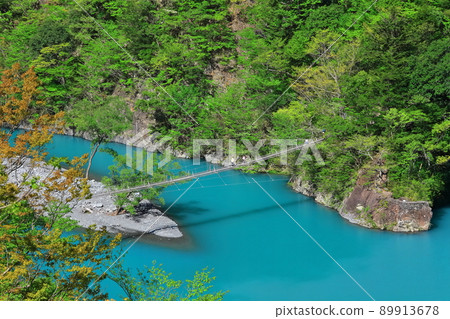 [靜岡縣]晴天下的須俁峽夢之鶴橋 89913678