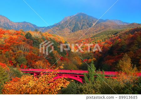 [山梨縣]八岳和東澤大橋的秋葉 89913685