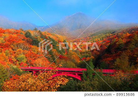 [山梨縣]八岳和東澤大橋的秋葉 89913686
