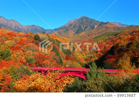 [山梨縣]八岳和東澤大橋的秋葉 89913687