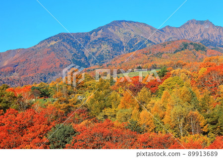 [山梨縣]秋色的八岳 89913689