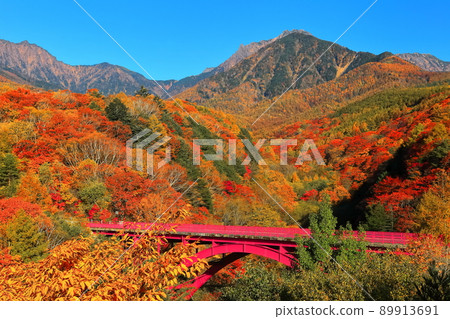 [山梨縣]八岳和東澤大橋的秋葉 89913691