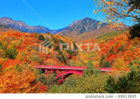 [Yamanashi Prefecture] Autumn leaves of Yatsugatake and Higashizawa Ohashi 89913695