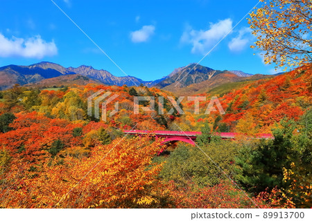 [Yamanashi Prefecture] Autumn leaves of Yatsugatake and Higashizawa Ohashi 89913700