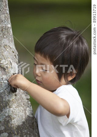 Boy catching a beetle Boy catching a beetle 89913719