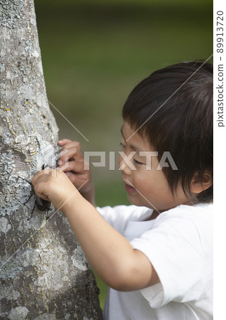 Boy catching a beetle Boy catching a beetle 89913720