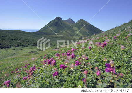 蝦夷辻與羅臼山社區(北海道知床) 蝦夷辻與羅臼山社區(北海道知床) 89914767
