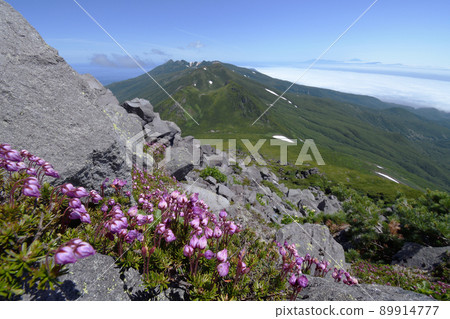 Ezonotsugazakura and Shiretoko Mountain Range (Shiretoko, Hokkaido) Ezonotsugazakura and Shiretoko Mountain Range (Shiretoko, Hokkaido) 89914777