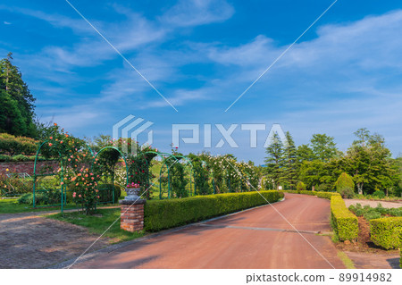帶花拱的玫瑰園風景 帶花拱的玫瑰園風景 89914982