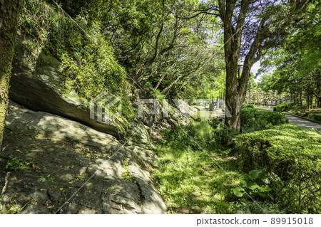 Tokushima Castle Ruins Tokushima Central Park Tokushima City, Tokushima Prefecture 89915018