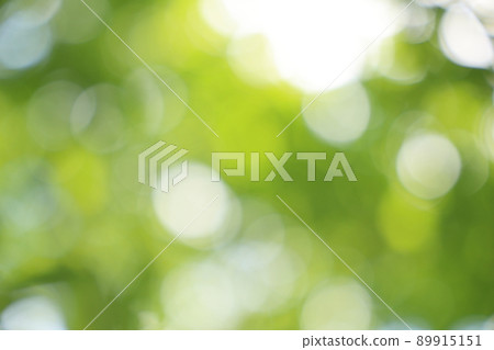 Image of comfortable sunbeams looking up while walking in the forest bath Image of comfortable sunbeams looking up while walking in the forest bath 89915151