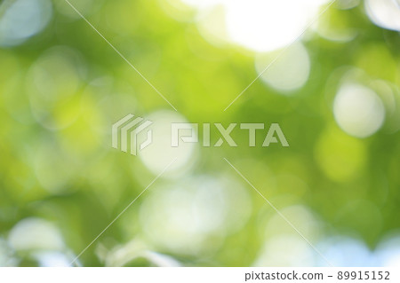 Image of comfortable sunbeams looking up while walking in the forest bath Image of comfortable sunbeams looking up while walking in the forest bath 89915152