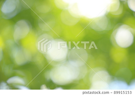 Image of comfortable sunbeams looking up while walking in the forest bath 89915153