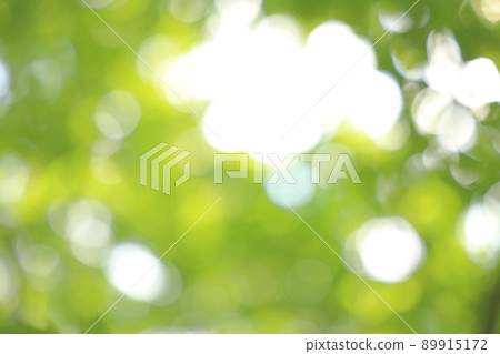 Image of comfortable sunbeams looking up while walking in the forest bath 89915172