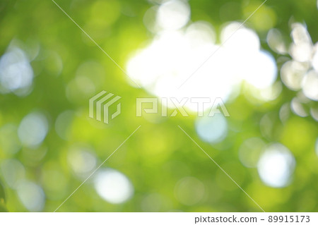 Image of comfortable sunbeams looking up while walking in the forest bath 89915173