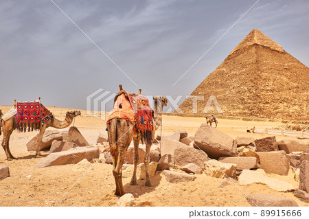 Camels in front of the The Pyramid of Khafre 89915666