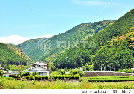 靜岡市水色初夏里山 89916697