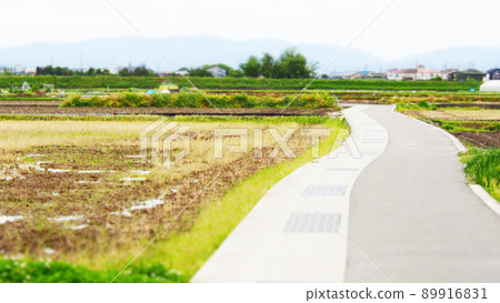 Rural scenery before rice planting 89916831