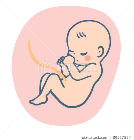 Cute illustration of a fetus 89917834
