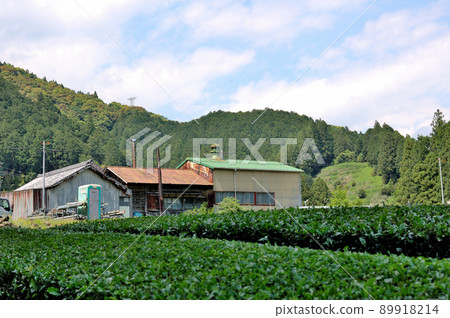 靜岡市水色茶工廠 靜岡市水色茶工廠 89918214