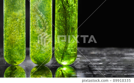 Algae fuel biofuel industry lab researching for alternative to fossil algae fuel or algal biofuel. Algae fuel biofuel industry lab researching for alternative to fossil algae fuel or algal biofuel. 89918335