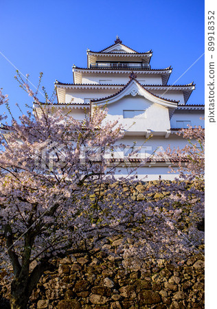 Tsuruga Castle, a castle tower that shines in the blue sky surrounded by cherry blossoms, Fukushima Prefecture Tsuruga Castle, a castle tower that shines in the blue sky surrounded by cherry blossoms, Fukushima Prefecture 89918352