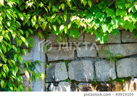 Stone cliff surrounded by fresh green Stone cliff surrounded by fresh green 89919105