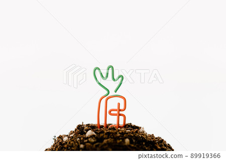 土壤上的胡蘿蔔 89919366