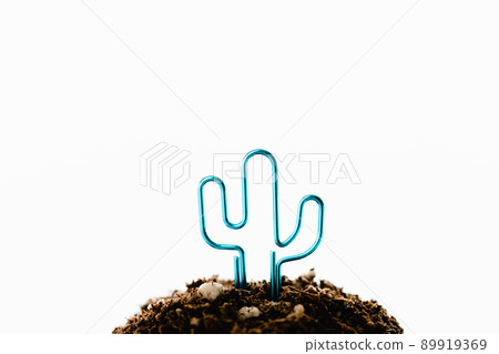 cactus on the soil 89919369