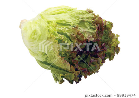 陽光生菜 05(含通行證) 陽光生菜 05(含通行證) 89919474