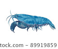 Blue lock shrimp 89919859