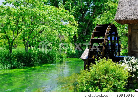 新綠閃耀的安曇野原景 89919916