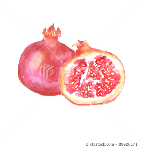 Illustration of pomegranate drawn in watercolor 89920171