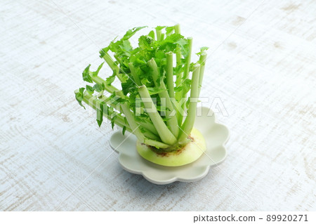 蘿蔔葉食物損失圖片 89920271