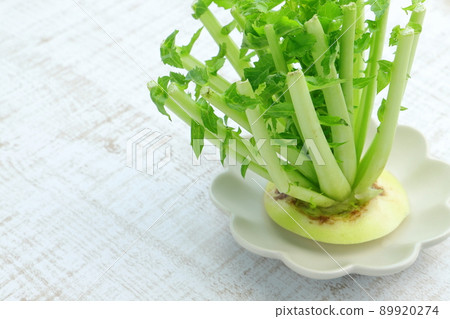 蘿蔔葉食物損失圖片 89920274