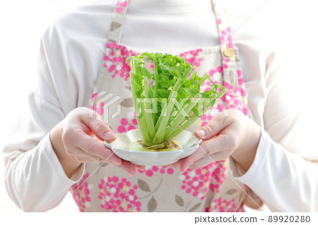 Radish leaf food loss image Radish leaf food loss image 89920280