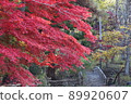 Autumn leaves and pier 89920607