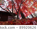 Log house and autumn leaves 89920626