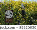 Don't feed the black-tailed gull !! (Black-tailed gull focus) 89920630