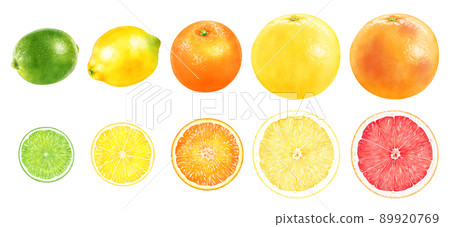 Watercolor illustration citrus set 89920769