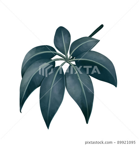 水彩風格別緻的藍綠色廚師雷拉離開沒有線條畫 89921095