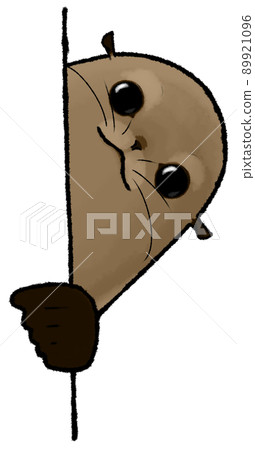 海獅注視這種情況 89921096