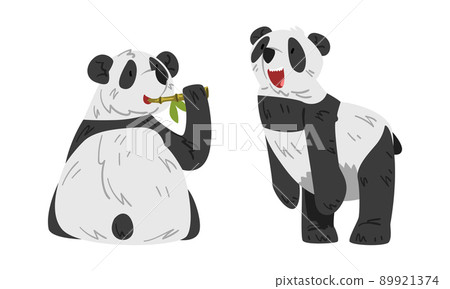 Cute panda eating bamboo. Lovely wild animal cartoon vector illustration Cute panda eating bamboo. Lovely wild animal cartoon vector illustration 89921374