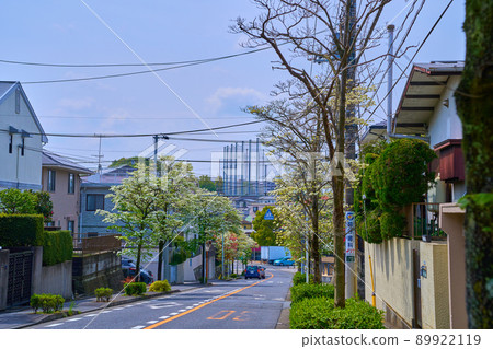 川崎市淺尾區御前神西十字路口附近的神淺二丁目和御前神西一丁目之間的分界線是蜜蜂盛開的地方。 川崎市淺尾區御前神西十字路口附近的神淺二丁目和御前神西一丁目之間的分界線是蜜蜂盛開的地方。 89922119